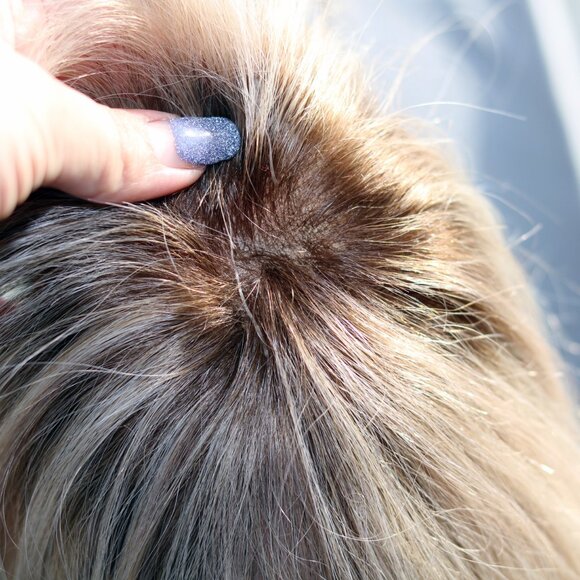 Human Hair Topper - Picture 5 of 7